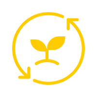 Sustainability Asmara Exports